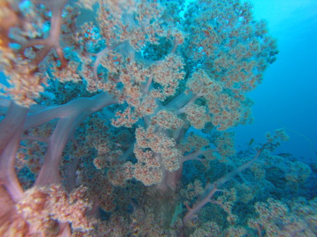GOPR6497_1545613860649_high