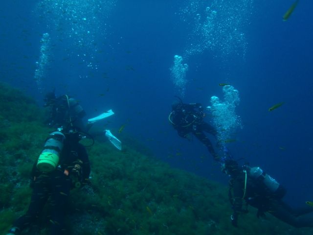 �ɺ�ܡ��� (10)