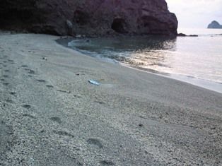 到着した海岸