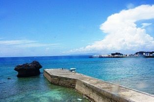 DSC03600