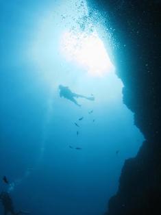 Ȭ�ź�������