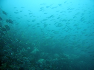 ���췲�췲��