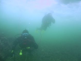 �ڥͥȥ졼����������