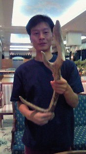 ���ߥʡ���