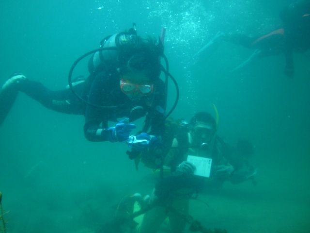 ����ʬ����