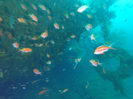 GOPR8156_1569146392938_high