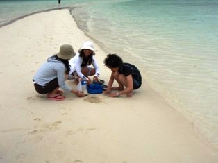 ��ͷ�ӡ�*^_^*��