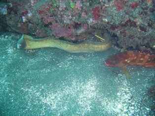 ����ˤϡ�����