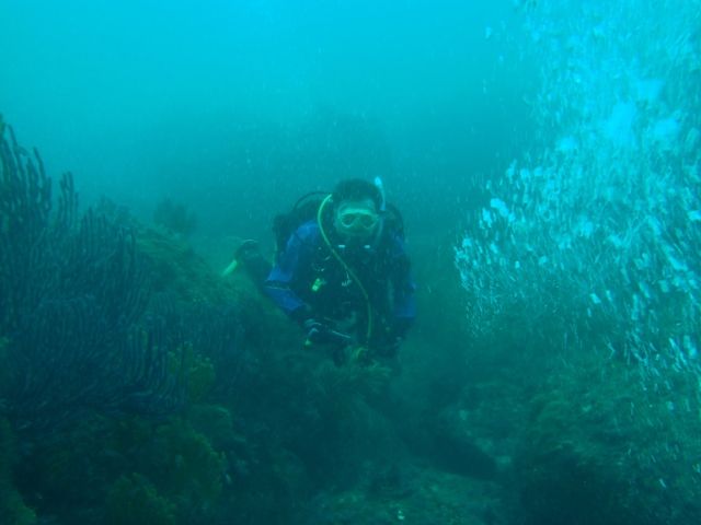 �������ܡ��� (5)