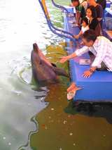 �¤��������