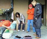 �����ӥ�����ʥޥ��ο��Ҥ������档