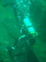 ������ꤿ��������