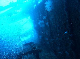 �����ʼ��