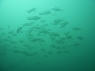 �Ȥˤ�������Ƥޤ���