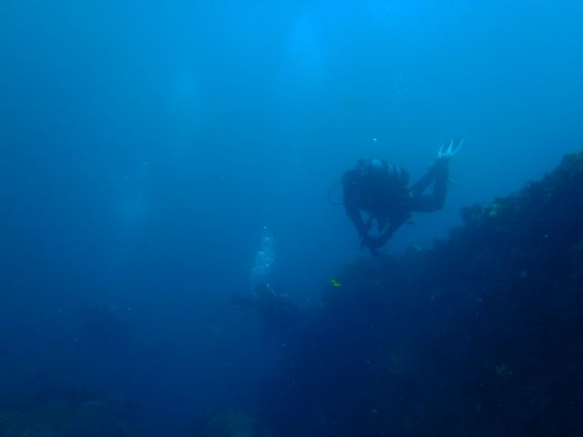 P5040602