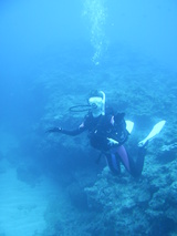 �줤����Ƥޤ�����