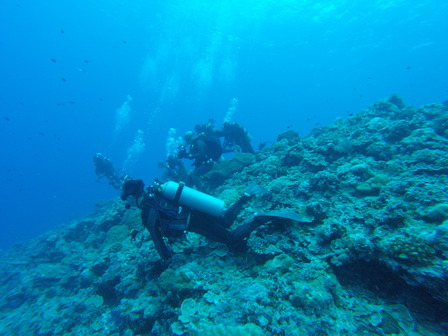 GOPR3753