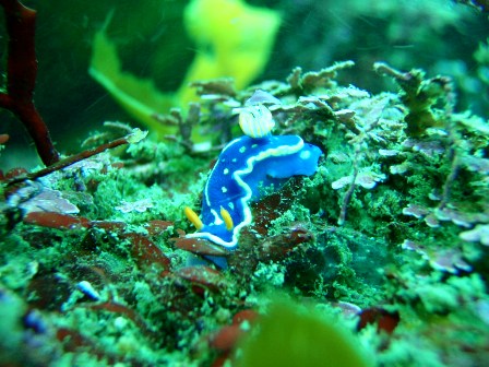 ����ʤΤ⤤�ޤ�����������