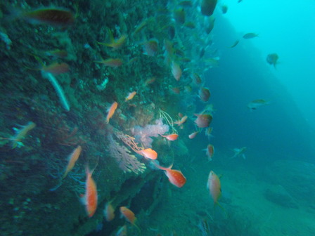 GOPR7749_1561189717265_high