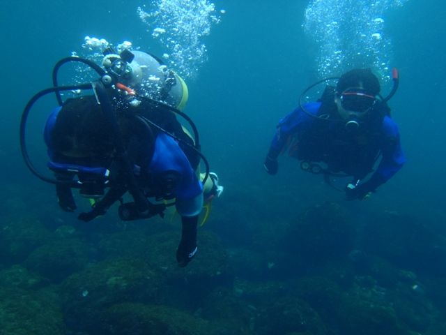 �������ӡ��� (2)