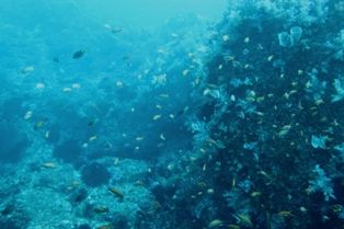 ���󥮥�ϥʥ���