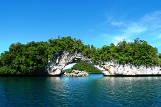 �ʥ����롦������