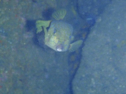 �ϥ��ե���