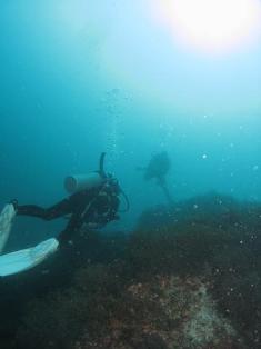 ��̯��ή�줢��