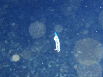 ɺή�桦����(T_T)