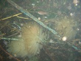 d3f0e694.jpg