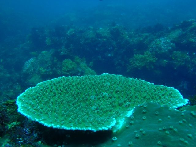 P5040595