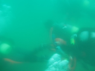 ���꡼�󥢥å��止