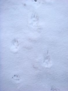 �������ĥ��ܺ���