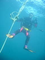 ���߳��ϡ�