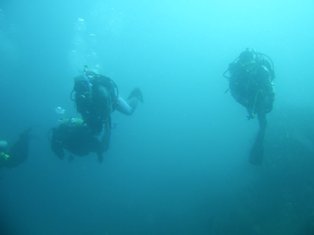 Ʃ�����ɤ�����