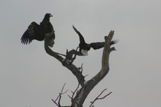 �������亮