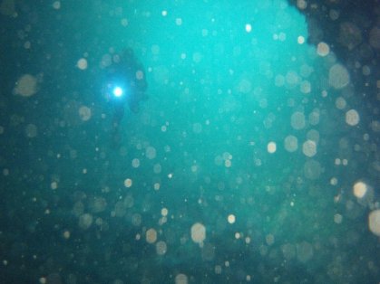 ƶ��������ն��