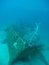 ������������Ǥޤ���