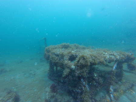 GOPR3259