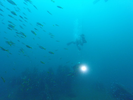 GOPR8194_1569146392938_high