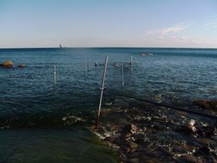 PIC_0635