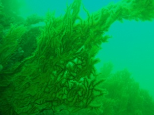 �忼�������ն�