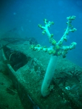 �����ϡ�������ʪã�����ȤǤ���