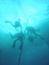 ���󤴤�Ʃ���١�