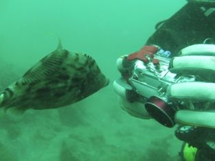 ����ϥ��ˡ�����