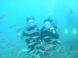 PIC_0079