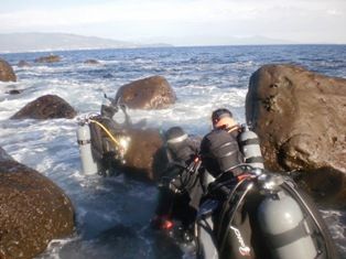 ������������ȥ꡼