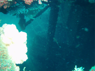 atami9