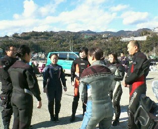 �֥꡼�ե���