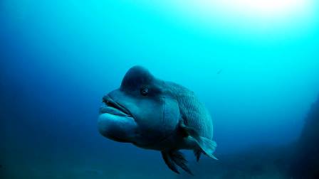 12032262_689840964449391_4215027501132950036_n